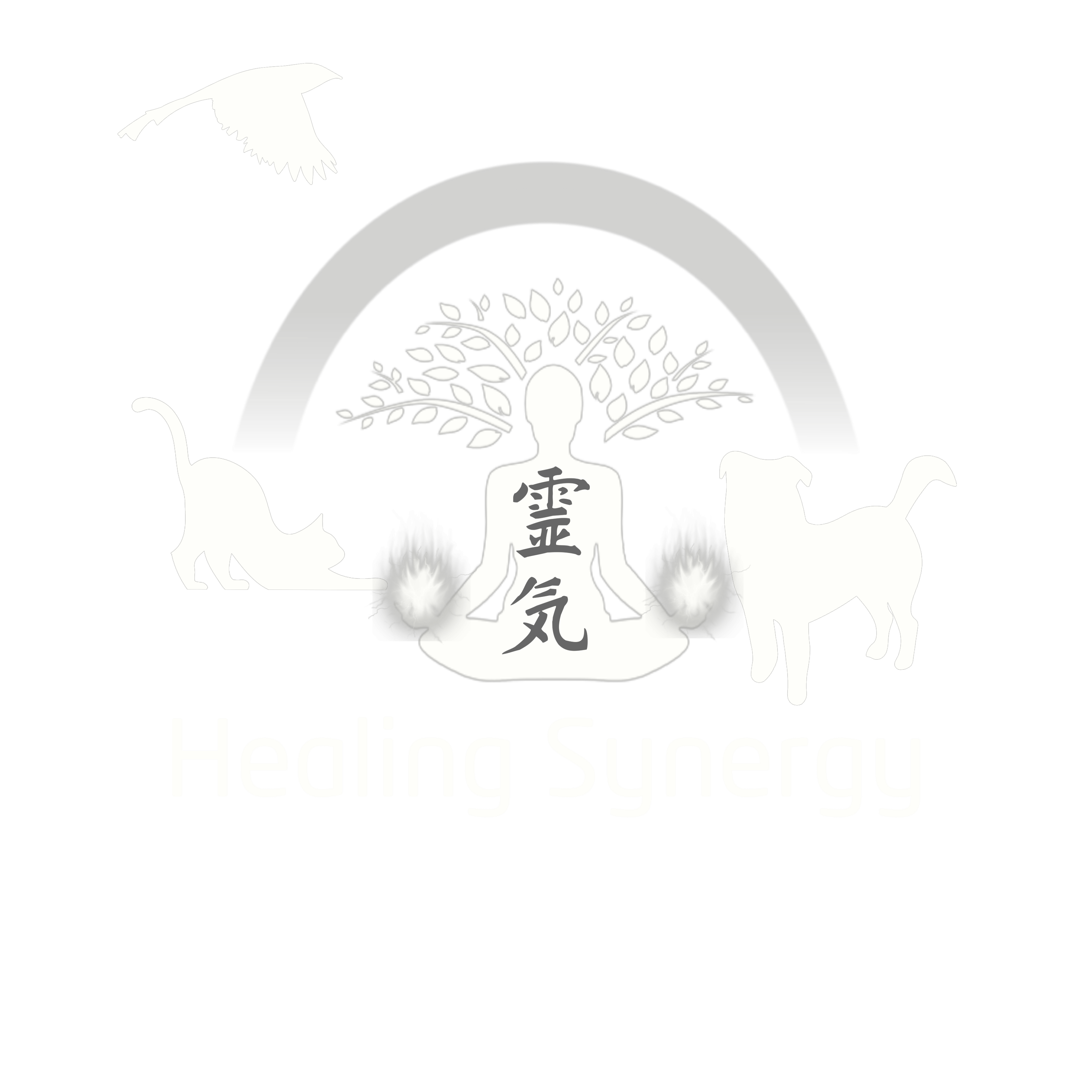 Healing Synergy